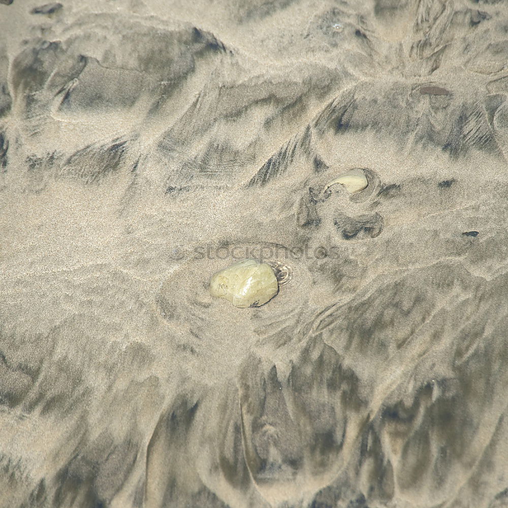 Similar – Foto Bild AUF ZU NEUEN UFERN grün