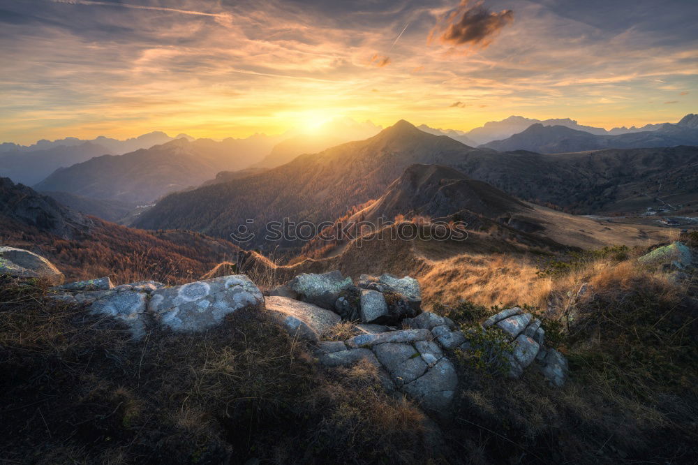 Similar – morning sunshine over rocks and alpine flowers