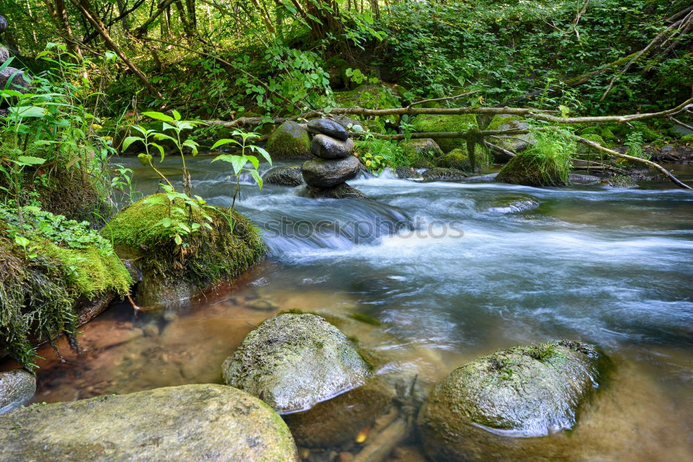 Similar – Unten am Fluss III Wasser