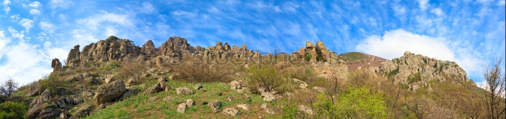 Similar – Image, Stock Photo Nevada Grass Steppe Calm