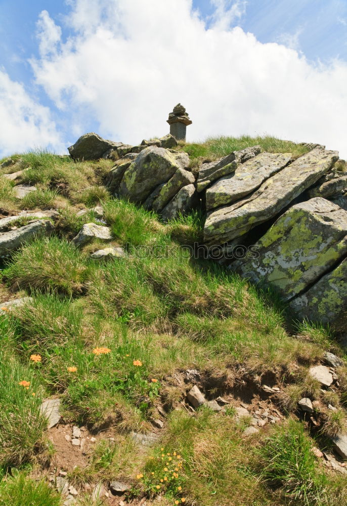 Similar – Foto Bild small people, big nature [1/5]