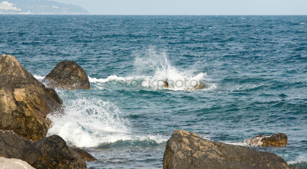 Similar – Image, Stock Photo Bock on shore leave