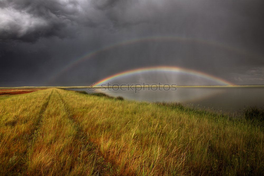 Similar – Image, Stock Photo Landscape on the island of Moen in Denmark