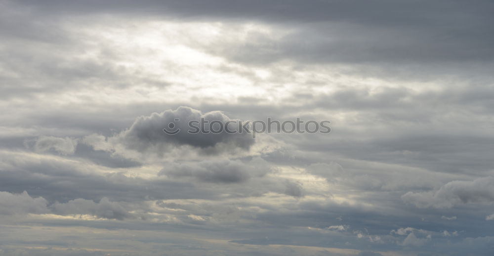 Foto Bild Ich sollte mal Fenster putzen…