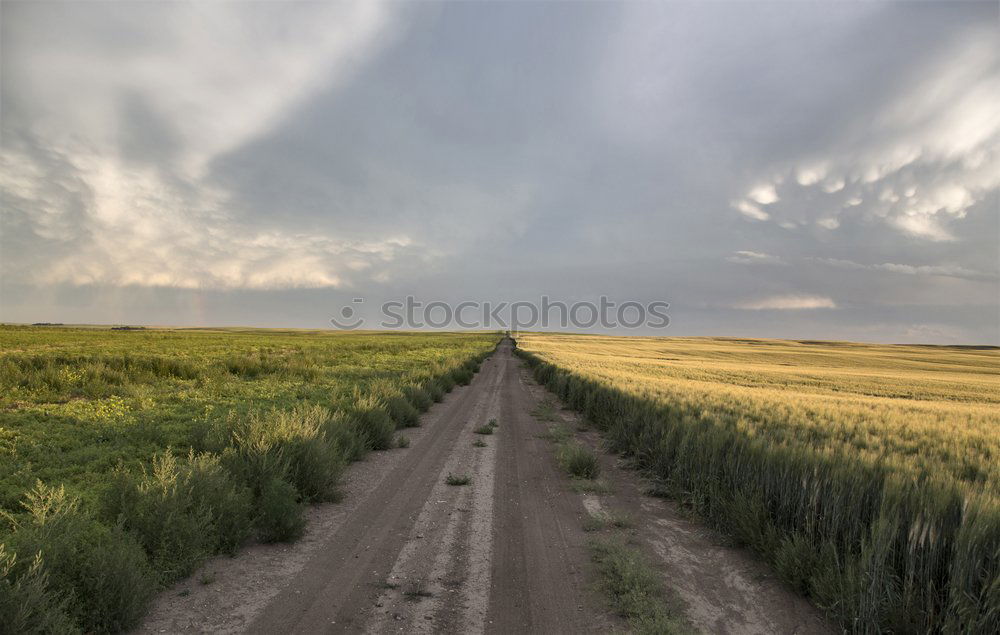 Similar – Image, Stock Photo overland Environment