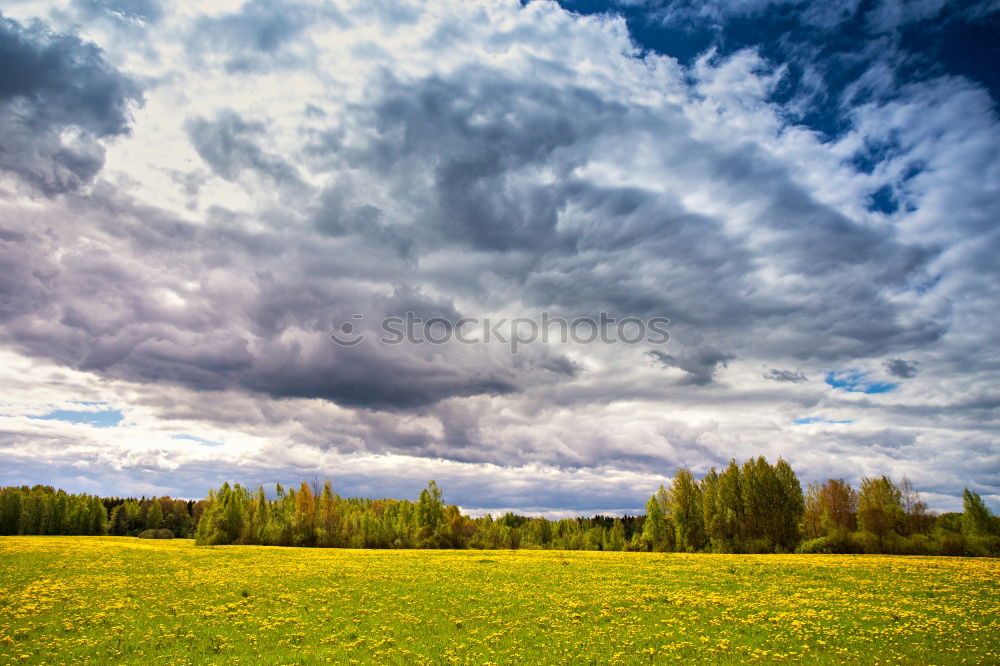 Similar – Agro Natur Himmel Wolken