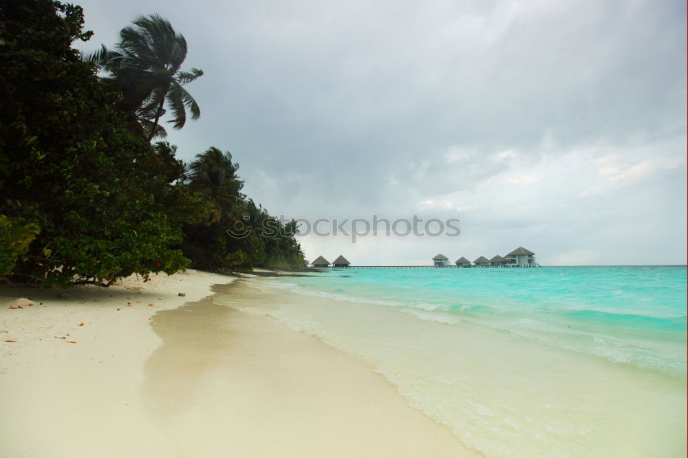 Similar – Sunset Beach Hawaii Ocean