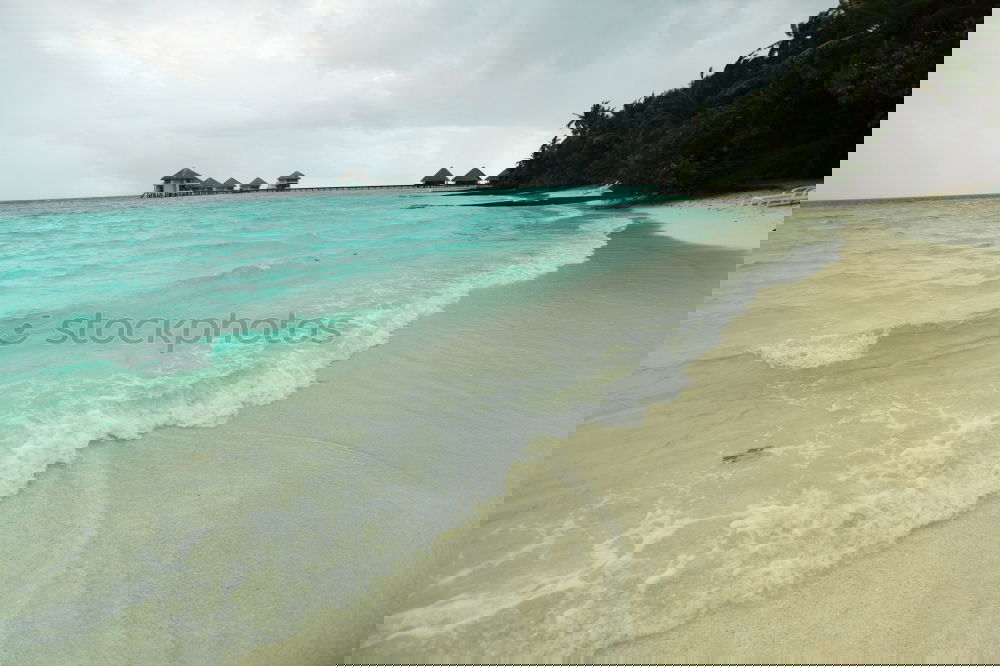 Similar – Image, Stock Photo paradise | perhentian besar