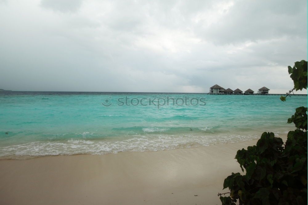 Similar – Sunset Beach Hawaii Ocean