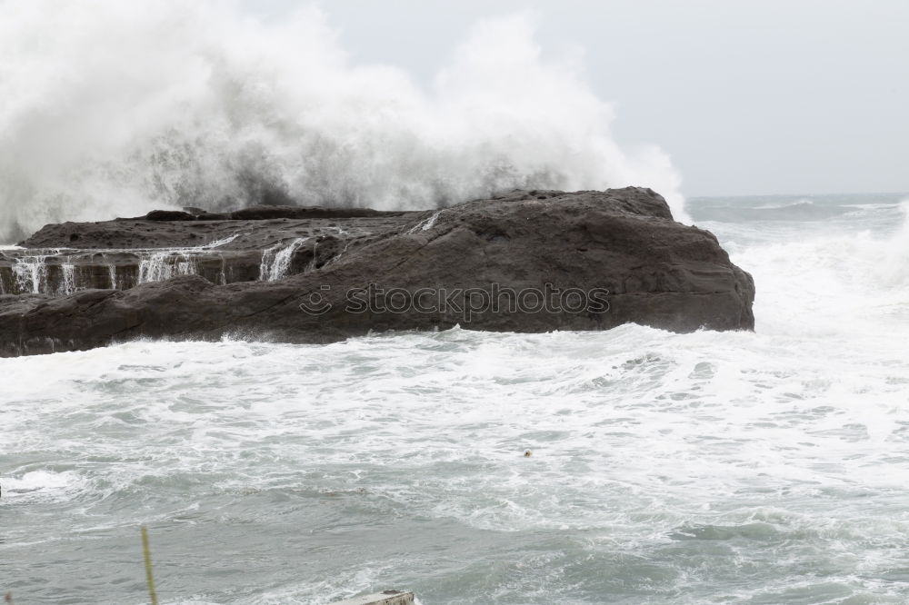 Similar – Image, Stock Photo unpredictable