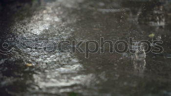 Similar – Image, Stock Photo Zwiegespalten l Cologne