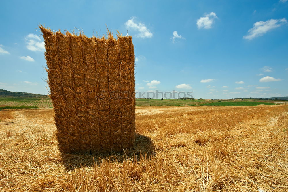 Goldener Herbst Landschaft