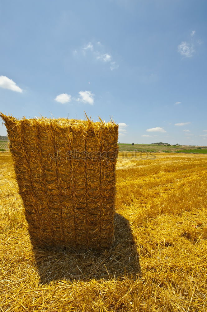 Similar – hay bales Straw