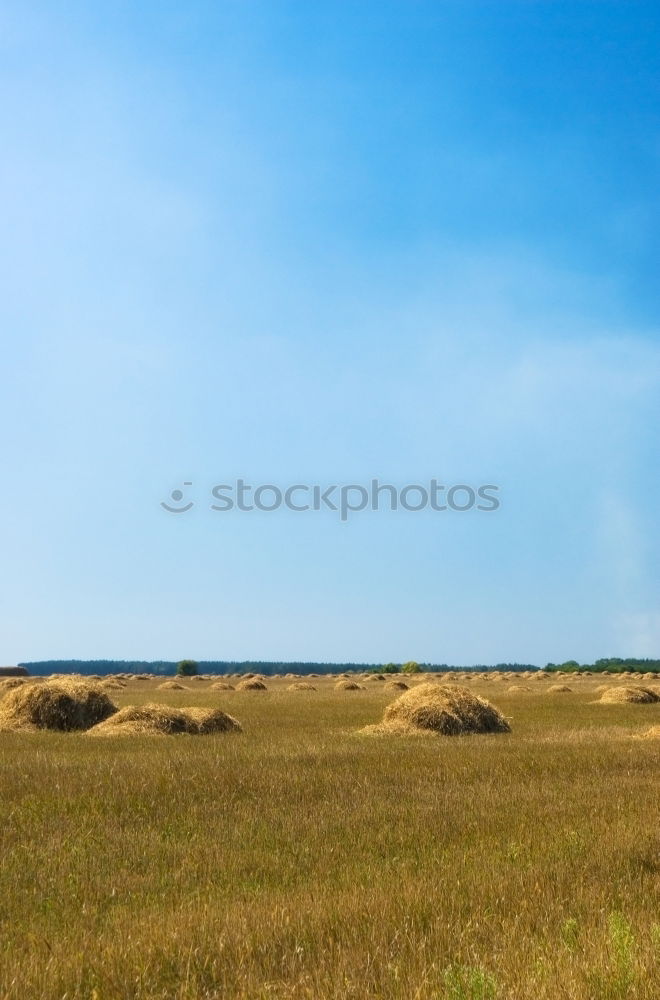 Similar – vast country Grass