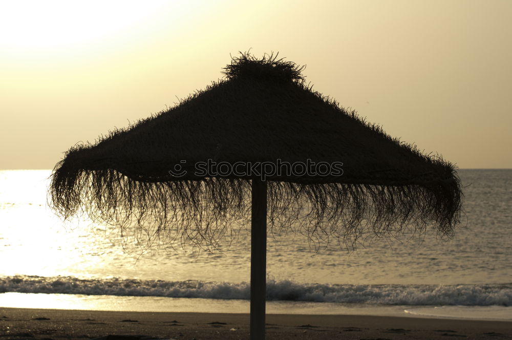 Similar – Straw umbrellas on the beach