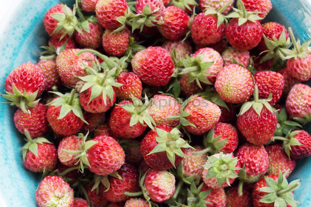 Similar – Himbeeren lecker süß