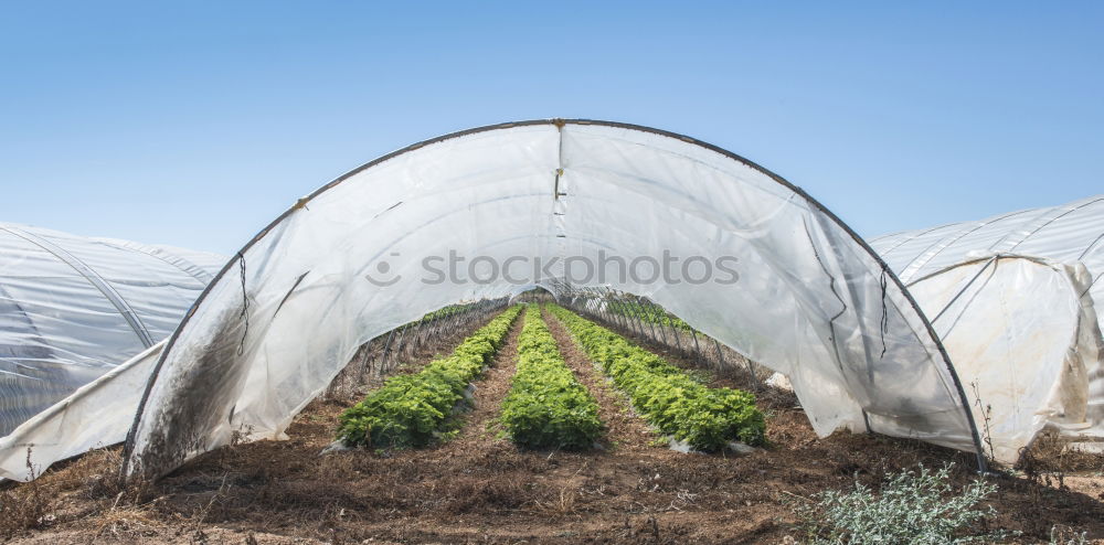 Similar – Greenhouse without plants