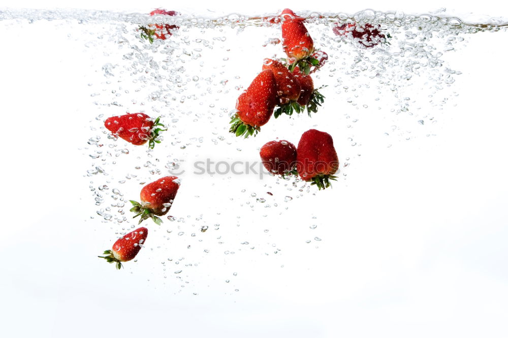 Similar – Image, Stock Photo Sugar for the bears Food