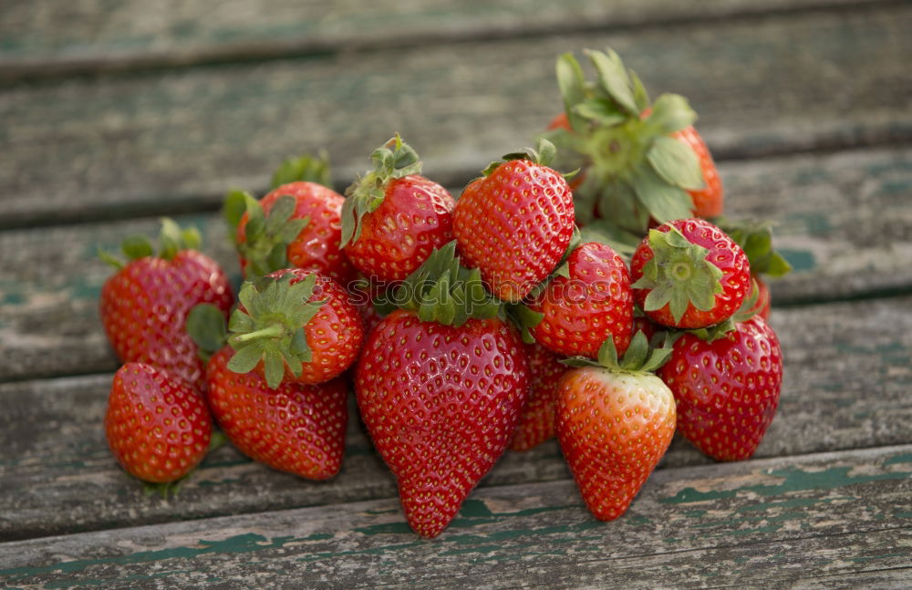 Similar – Bunch of red wild strawberry