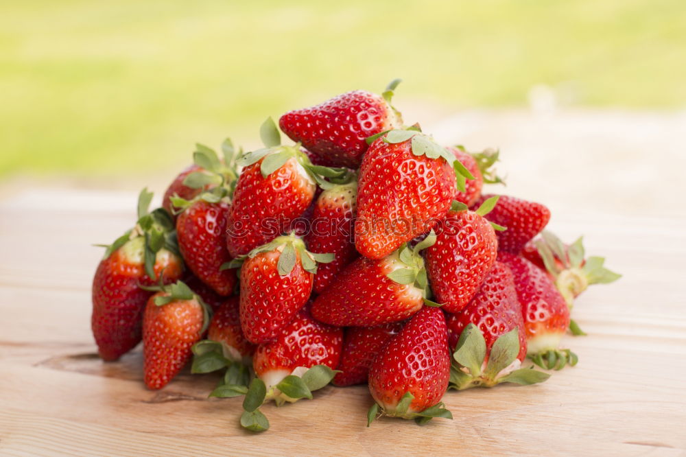 Similar – Erdbeeren Frucht Ernährung