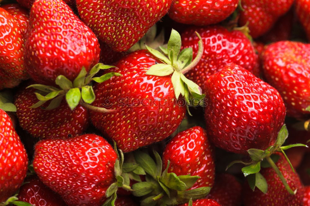 Similar – red strawberries with green stems in sale trays