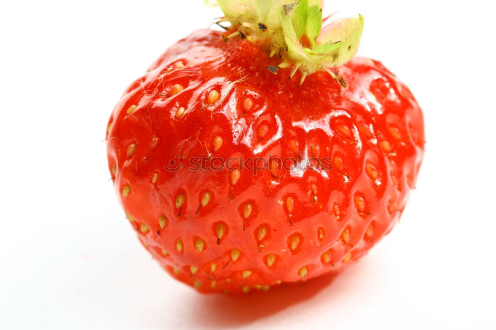 strawberry rot frisch