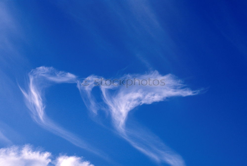 Similar – Image, Stock Photo Sky W, contrails in the blue sky. Queensland. Australia.