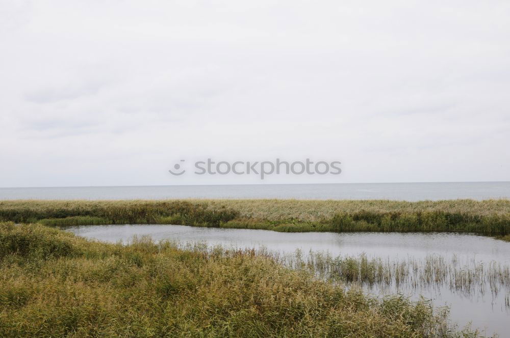 Similar – hooge Landscape