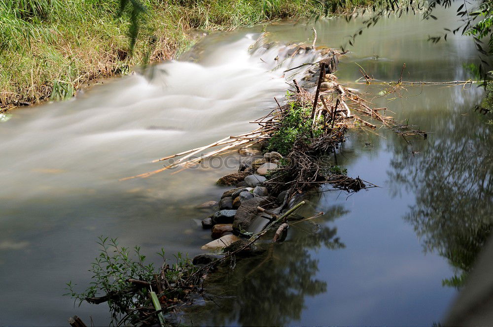 Similar – Image, Stock Photo Tires under water Lake