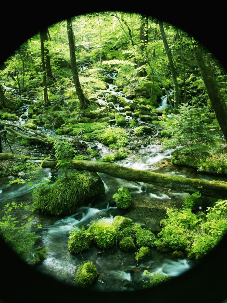 Similar – Foto Bild wo lang? da lang! II Natur