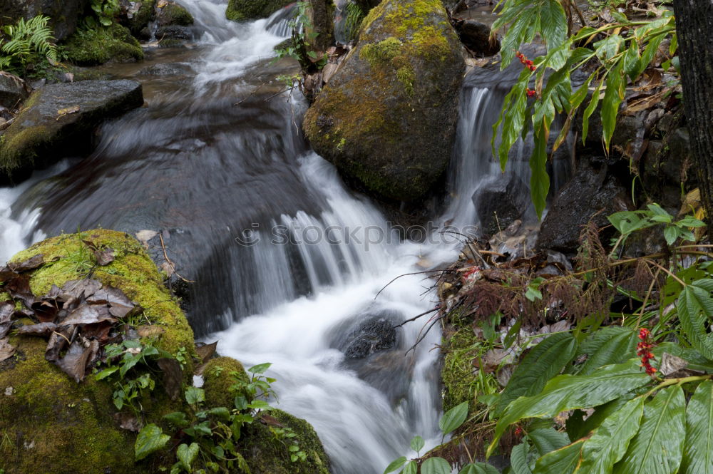 Similar – Image, Stock Photo by the rushing brook….