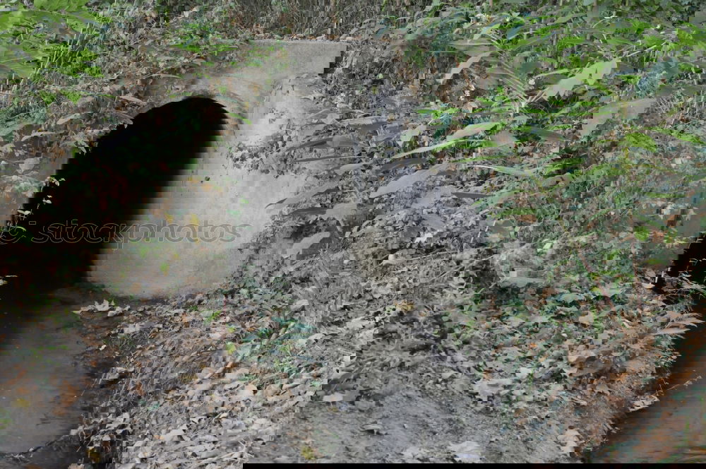Similar – Image, Stock Photo Tires under water Lake