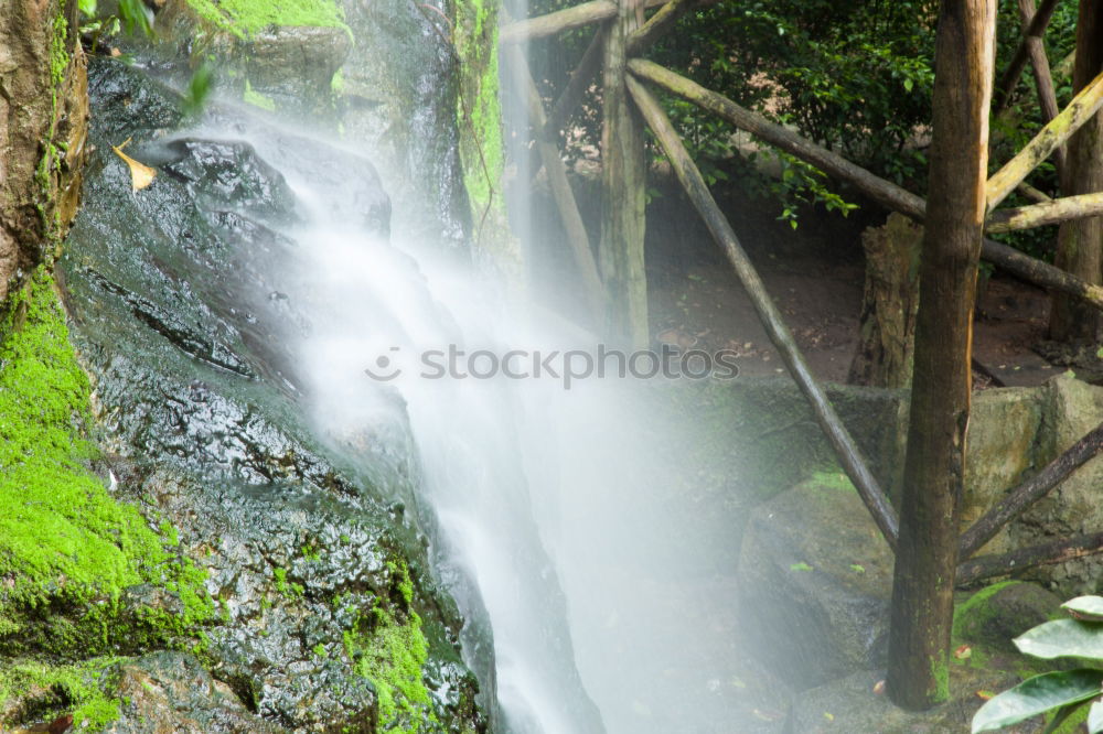 Similar – YS Waterfall Jamaica