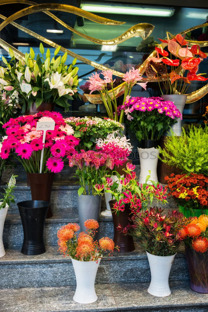 Similar – Der Freiburger Markt ist der schönste im Land!