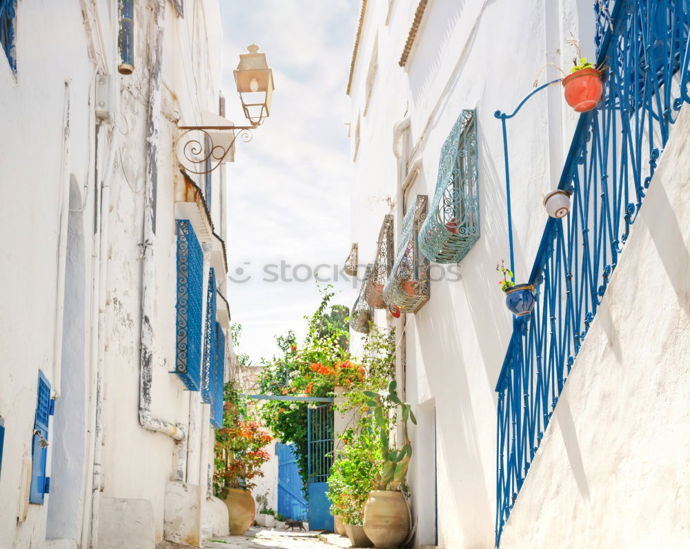 Similar – Image, Stock Photo Narrow street with old buildings