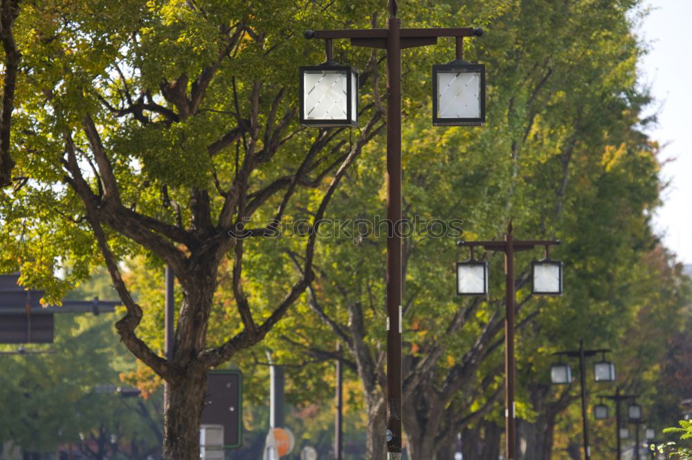 Similar – Frühling in der Stadt