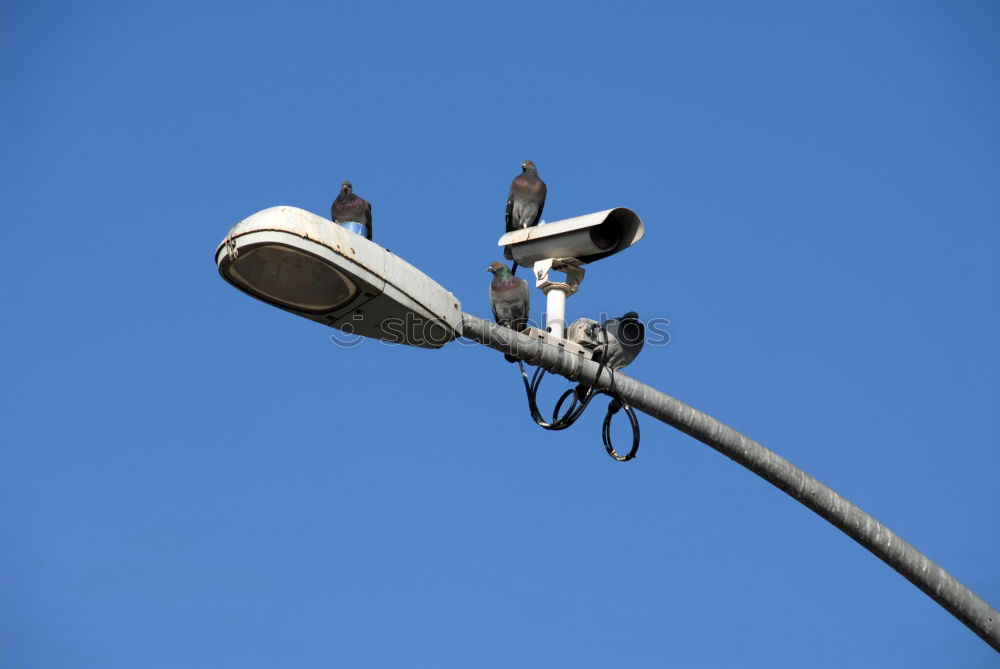 Image, Stock Photo air rat landing platform