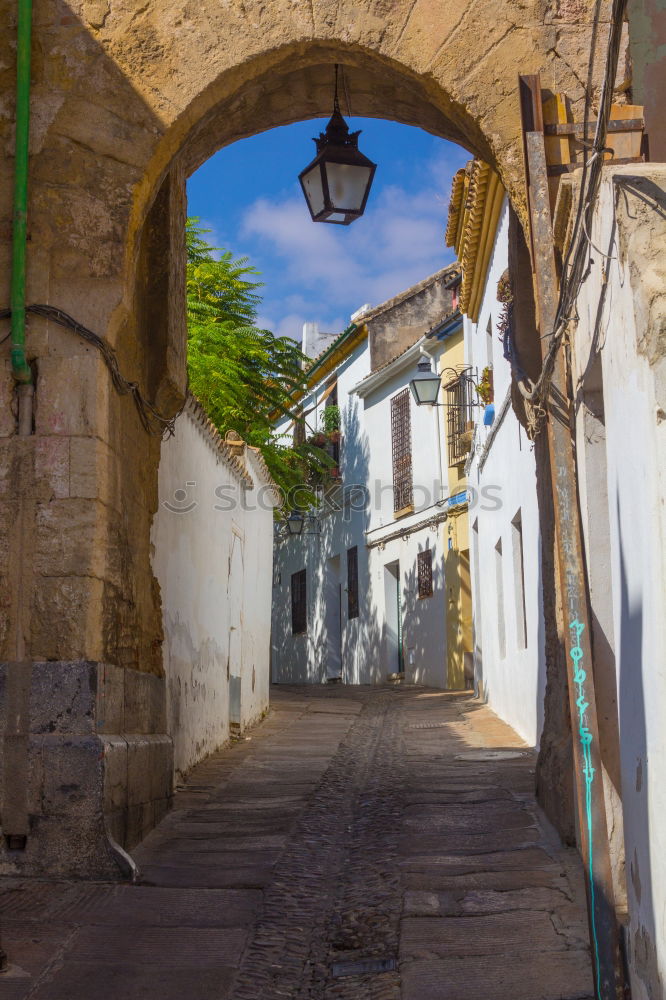 Similar – Image, Stock Photo ramatuelle Town