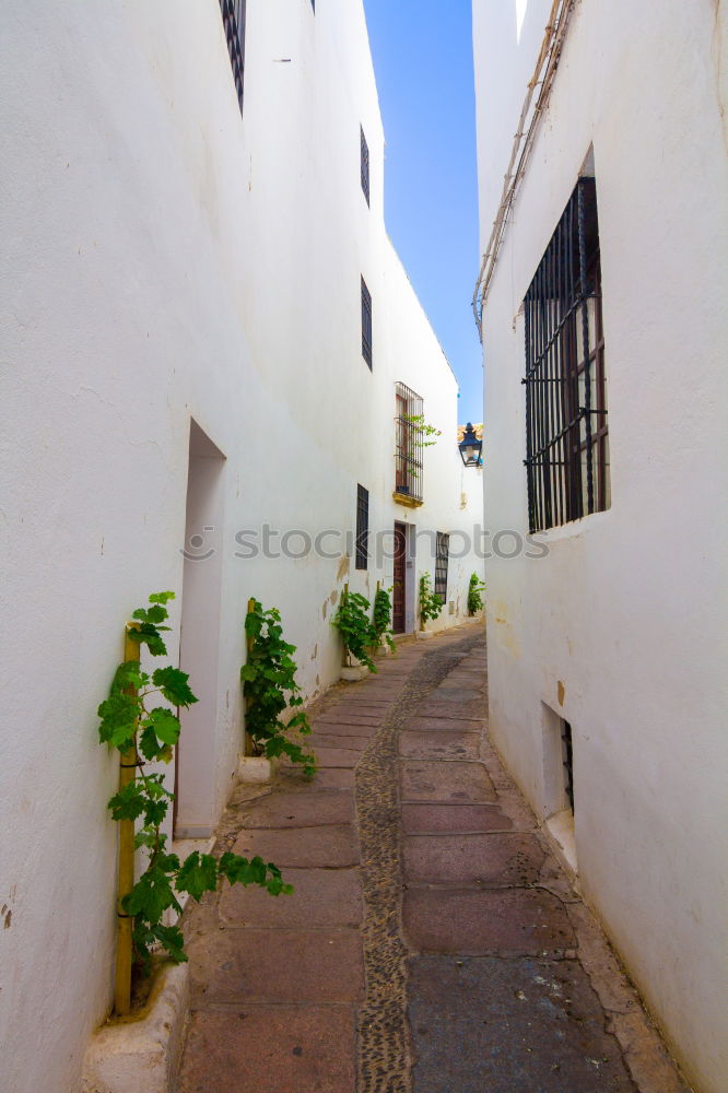 Similar – Image, Stock Photo the cross with the house