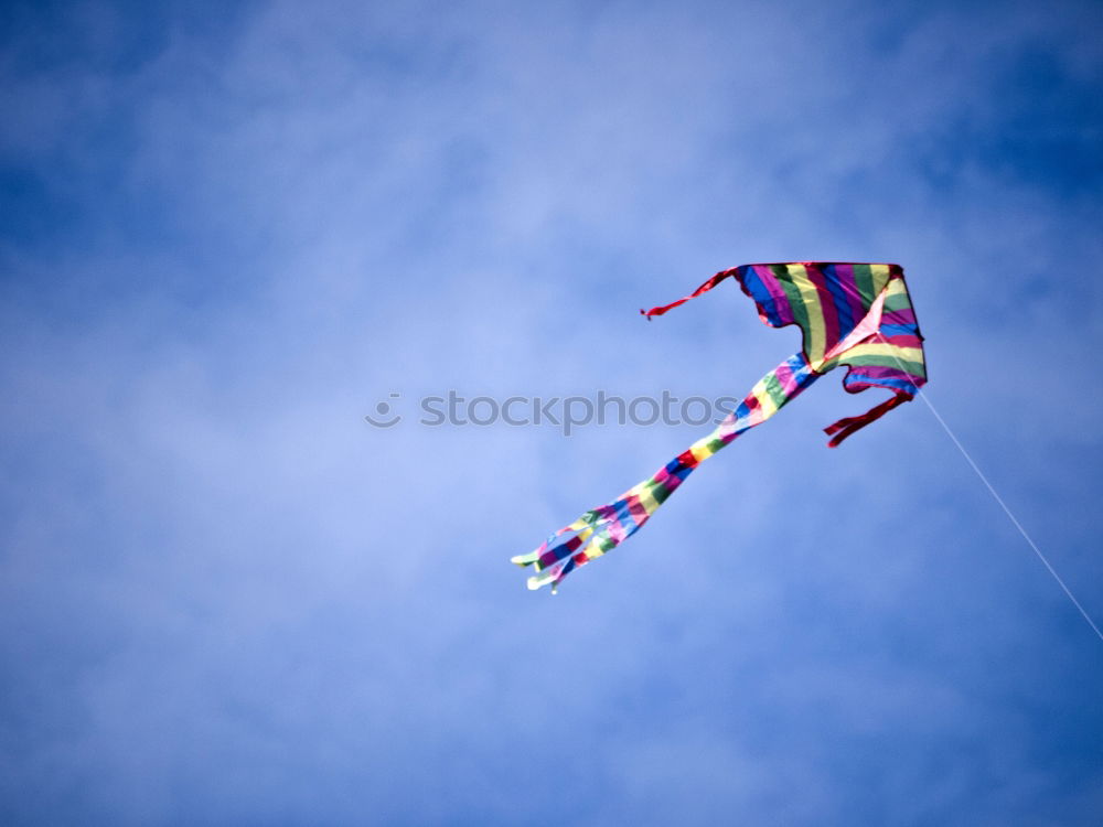 Foto Bild Kite Surfen Kiting Meer