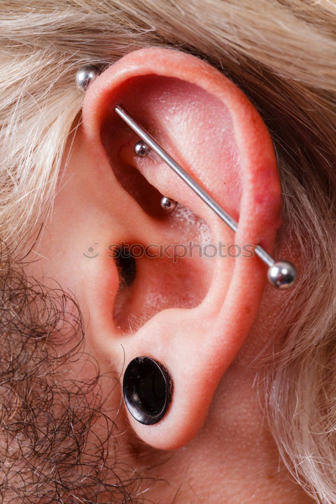 A stretched earlobe with a sleek black tunnel, emphasizing a clean and healthy piercing