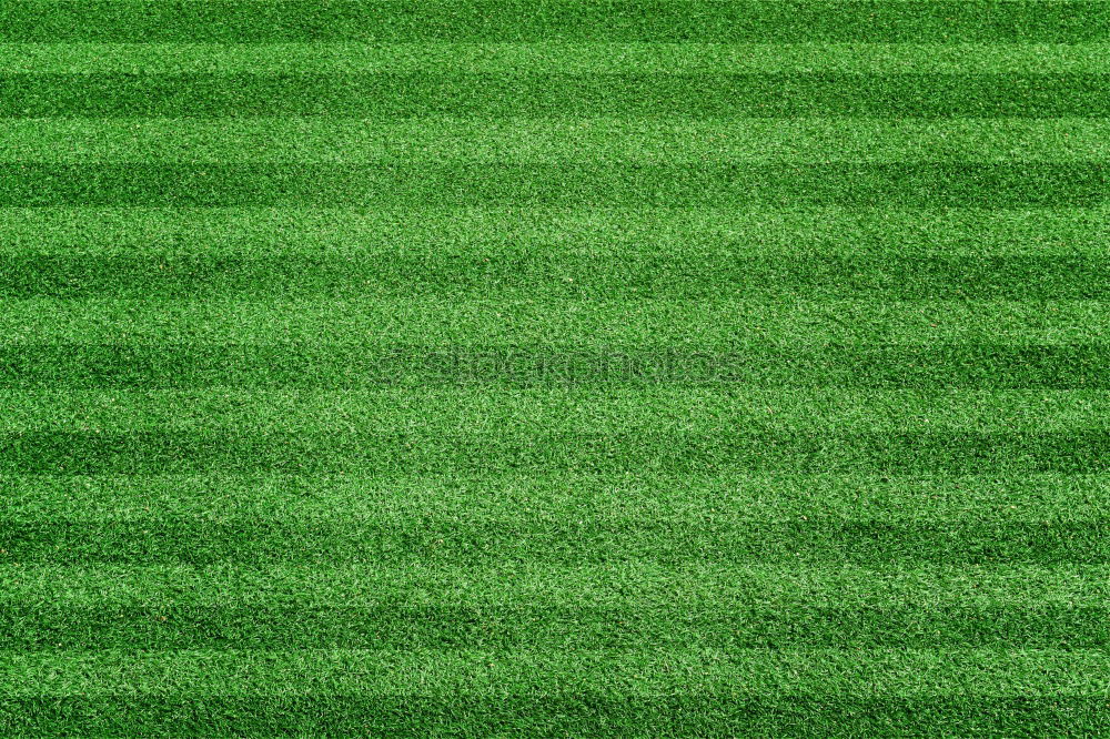 Similar – carpet of grass Sports