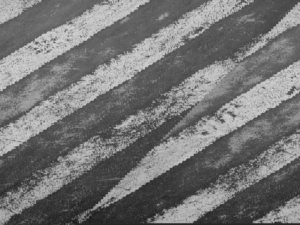 Similar – Foto Bild Frauenparkplatz Stil