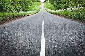 Similar – Image, Stock Photo dirt road Footpath Grass