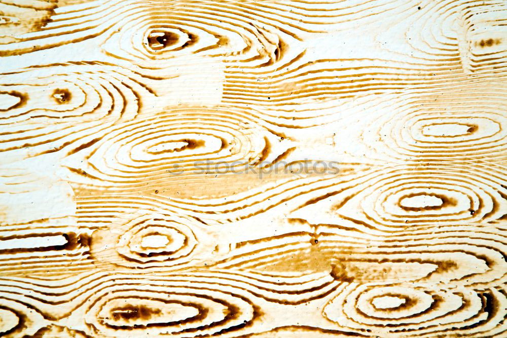 Similar – Wood texture with tree rings (growth rings)