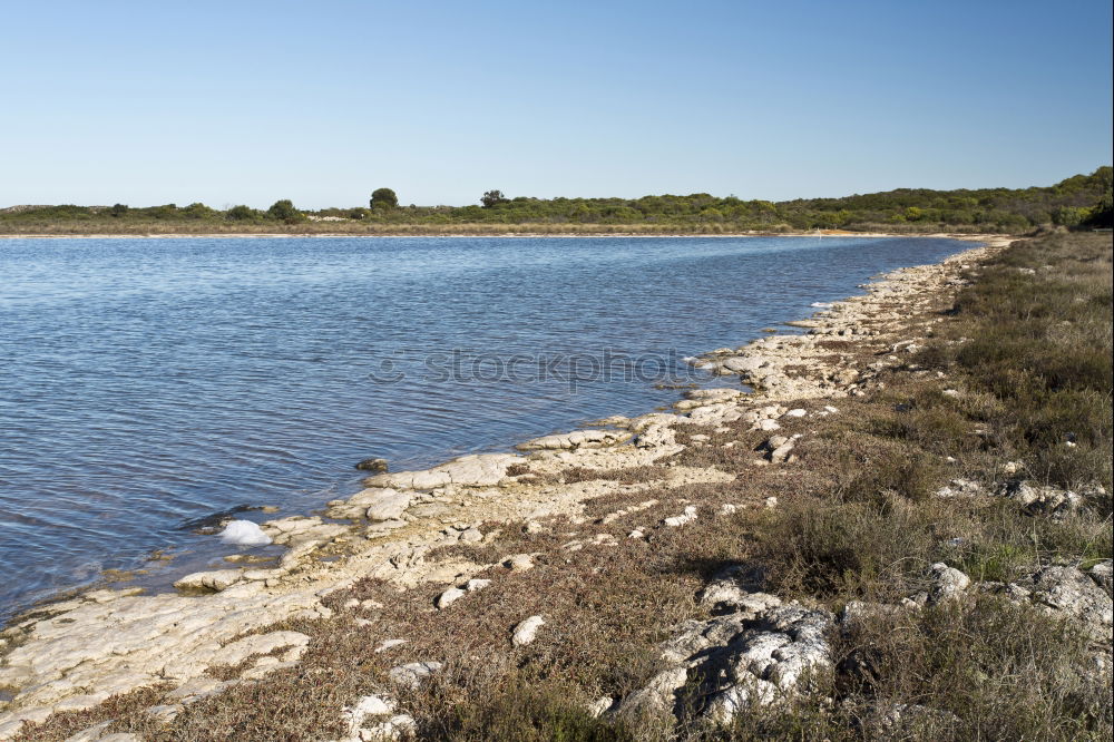 Similar – Image, Stock Photo ford Adventure Nature