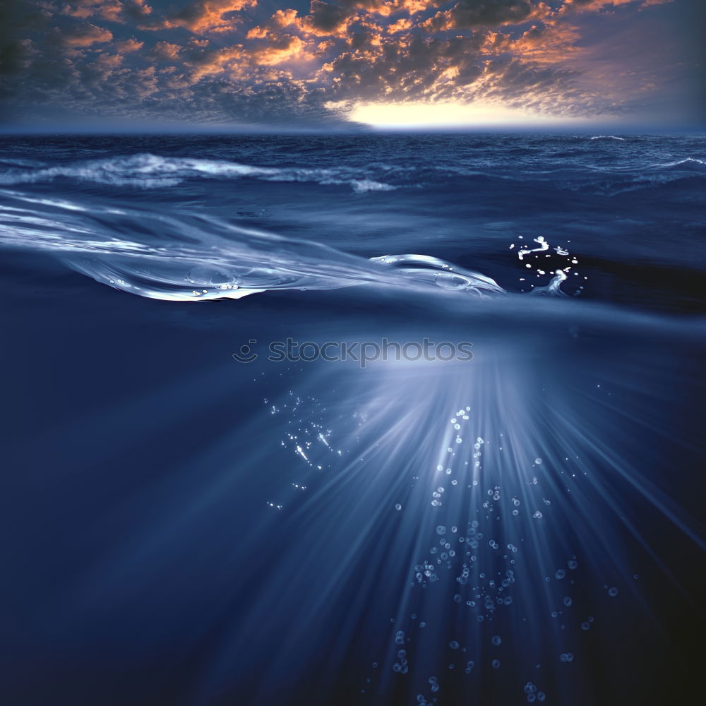 Similar – Image, Stock Photo Young woman diving in the sea