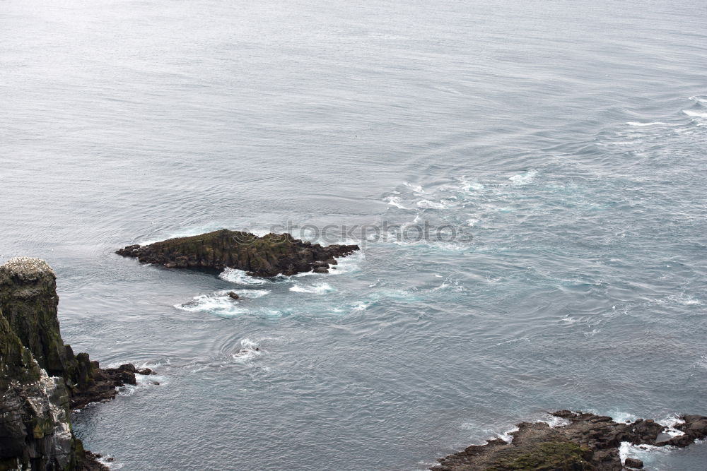 Similar – Ireland Ocean Sheep