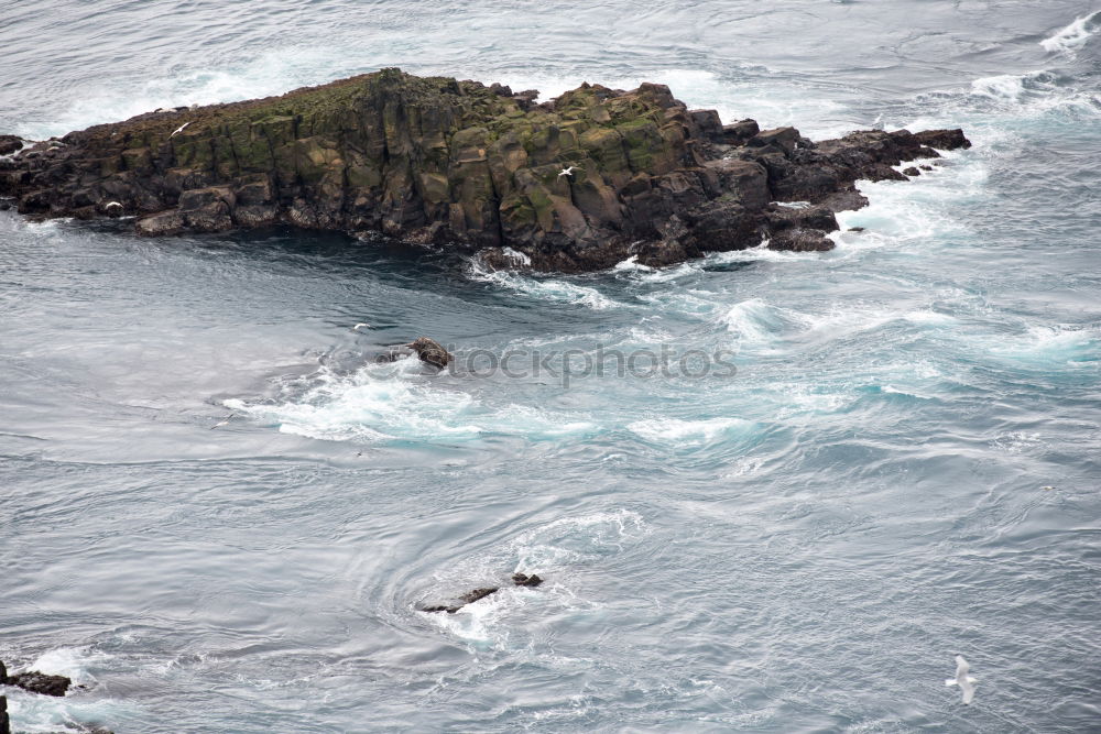 Similar – Image, Stock Photo lava coast Landscape