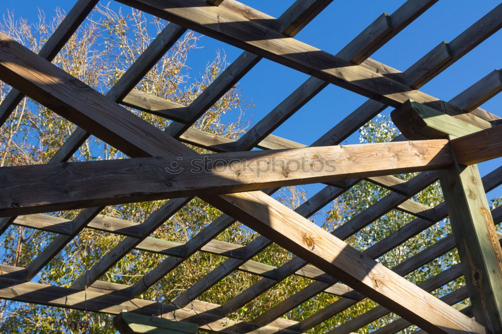 Similar – Park bench view from below